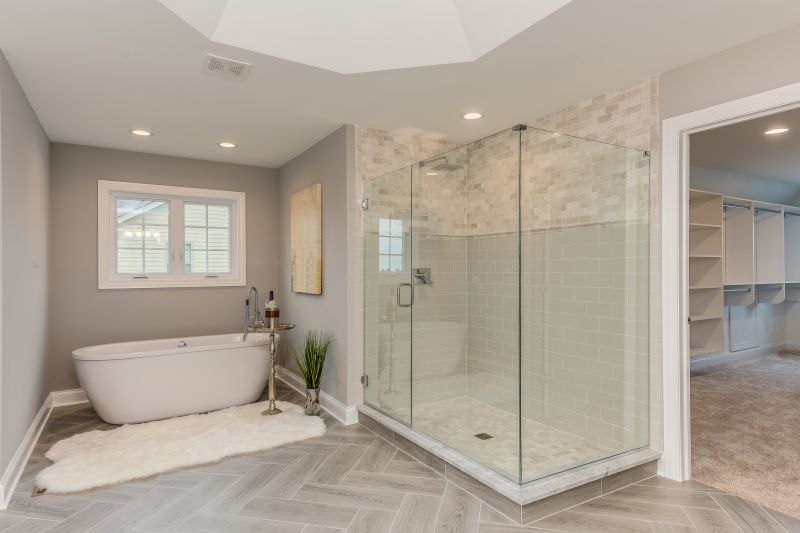 Modern Shower and Tub